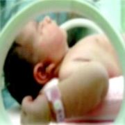 YAŞAMA  ANCAK BEŞ GÜN DİRENEBİLDİ