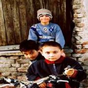 BAŞBAKANLIK  KAYIP ÇOCUKLAR   RAPORUNU YAYINLADI 