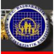 DEVLETTE KAÇAK İŞÇİ!! DİE ÇALIŞANLARININ YARISI KAYIT DIŞI!!