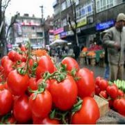 İLAÇ KALITIMLI MEYVE VE SEBZEYİ  YERSEN  DÖNEMİ 