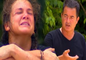 Survivor da Nisa Krizi