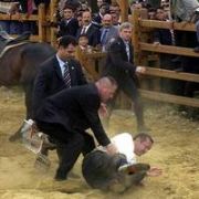 ERDOĞAN I SIRTINDAN ATAN AT ÖLDÜ