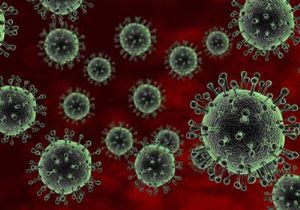 Tedavisi Olmayan Ölümcül Virüs Yayılıyor