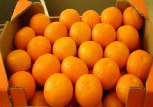 Ruslar 250 Ton Mandalinayı İade Etti
