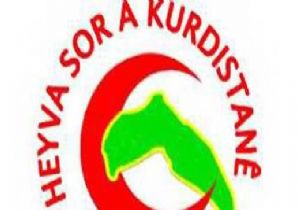DEPRAM İÇİN TOPLANAN PARALAR KANDİL E!