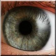 ŞİFREYİ BİLMEYEN GÖZ RETİNASI TUTMAYAN GİREMEZ!