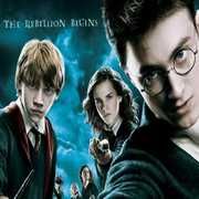 HARRY POTTER TÜRK SEYİRCİSİYLE BULUŞTU