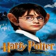 HARRY POTTER ÖLECEK
