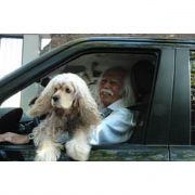 HAYDAR DÜMEN İN DÜMEN İNDE KUŞU VE KÖPEĞİ VARDI