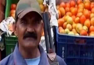 Hindistan da domatese silahlı koruma!