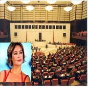 550 MİLLETVEKİLİ BİR HÜLYA AVŞAR ETMİYOR MUŞ
