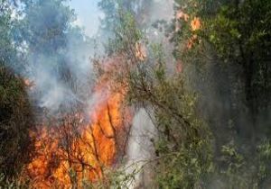 Manisa’da 6 Farklı Noktada Yangın