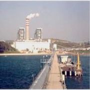 SANTRAL İSKENDERUN KÖRFEZİNİ ÖLDÜRMEYE BAŞLADI