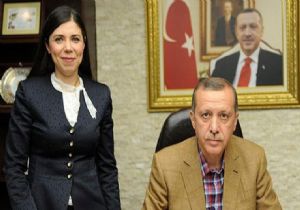 AK Parti de Siyanür İhracı!