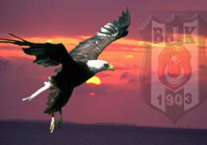 Kartal Aboubakar la Tura Uçtu
