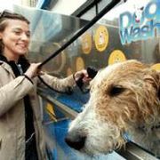 KÖPEKLER İÇİN ÇAMAŞIR MAKİNASI