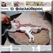 YEMEK İÇİN KÖPEK BESLEMİŞLER