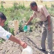 KAYIP OĞLUNU KİMSESİZLER MEZARLIĞINDA BULDU