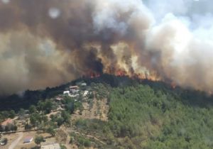 Bodrum Ve Milas ta Orma Yangını