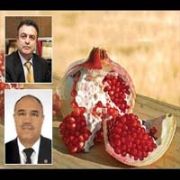 VEKİLLERİN NAR KAVGASI!