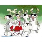 NOEL BABA TÜRKİYELİ