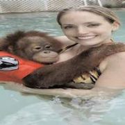 ORANGUTAN YAVRUSUNUN EN BÜYÜK ZEVKİ YÜZMEK