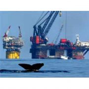 KARADENİZ DE 800 MİLYON TONLUK PETROL UMUDU