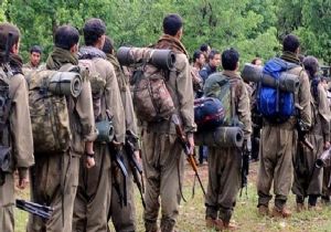 Flaş..Terör Örgütü PKK Ateşkes İlan Etti