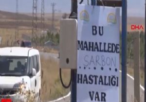  “Şarbon” Vakası İçin İnceleme Talimatı