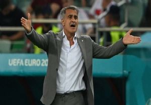 Şenol Güneş: Sorumlu Benim