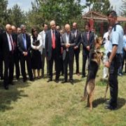 UYUŞTURUCU KÖPEKLERİ VEKİLLERİ KORKUTTU