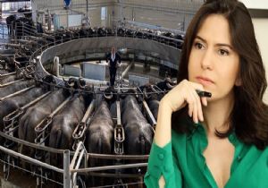  Şöhret Budalası Ruhsuz 