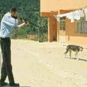 UYUŞTURUCU İĞNEYİ KÖPEK YERİNE KENDİNE SAPLADI