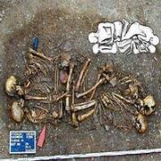 DÜNYA NIN EN ESKİ ÇEKİRDEK AİLESİ BULUNDU