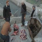 FIKRA DEĞİL GERÇEK! KARADENİZ Lİ 11. KATTA KURBAN KESTİ