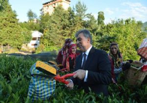 GÜL, KARADENİZ İZLENİMLERİNİ PAYLAŞTI