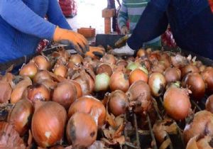 Kuru Soğana İthalat Yolu Açıldı