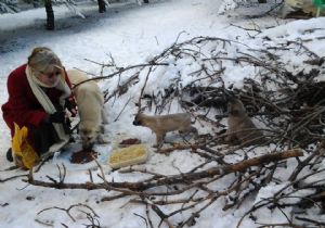 Emine Ülker Sokak Köpeklerini Unutmadı