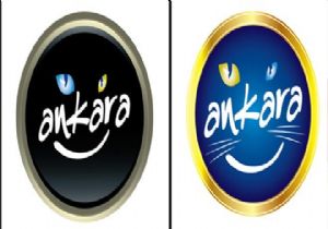ANKARA YA BIYIKLI KEDİ!