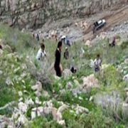 .BDP LİLER PKK LILARIN CENAZESİNİ ARADI