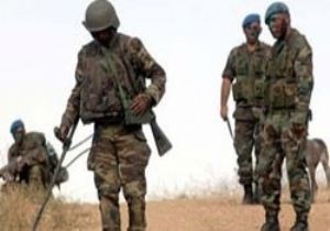 TUNCELİ DE BÜYÜK OPERASYON !