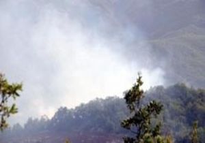 PKK BARİKAT KURDU, KAMYONLARI YAKTI