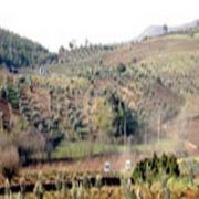 FLAŞ.. ŞIRNAK TA ÇATIŞMA, 12 PKK LI ÖLDÜRÜLDÜ 