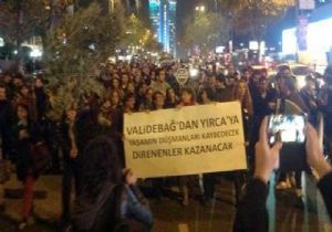 İstanbul da zeytin dallı protesto