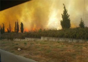 Tuzla’da Askeri Alanda Yangın
