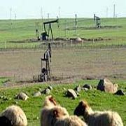 SÖYLENENLER DOĞRU ÇIKTI MAYINLI ARAZİDE PETROL BULUNDU