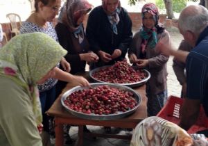 Ev kadınlarına Devlet Desteği Müjdesi
