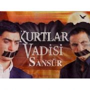 KURTLAR VADİSİ HALKA SORULDU