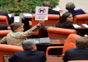 Mecliste CHP lileri Kızdıran Afiş!