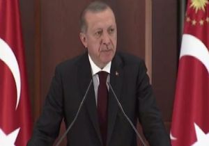 Erdoğan Tek Tipin Rengini Açıkladı